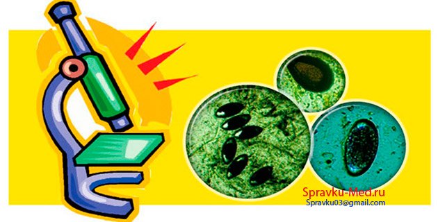 Анализ кала